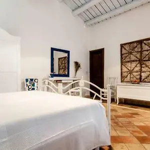 Apartment A 50 Passi Dal Tempio Di Apollo